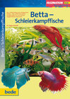 Buchcover Faszination -  Betta-Schleierkampffische