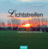 Buchcover Lichtstreifen