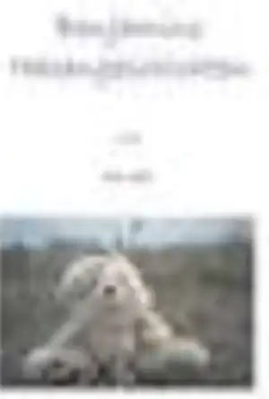 Buchcover ISBN 9783899063370