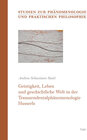 Buchcover Geistigkeit, Leben und geschichtliche Welt in der Transzendentalphänomenologie Husserls