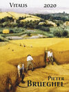 Buchcover Brueghel Pieter 2020