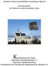Buchcover Neuschwanstein, der Meteorit aus den bayerischen Alpen