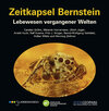 Buchcover Zeitkapsel Bernstein – Lebewesen vergangener Welten