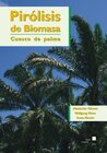 Buchcover Pirólisis de Biomasa