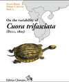 Buchcover On the variability of Cuora trifasciata (Bell, 1825)