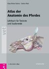 Buchcover Atlas der Anatomie des Pferdes