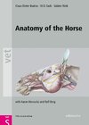Buchcover Anatomy of the Horse