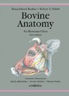 Buchcover Bovine Anatomy