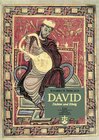 Buchcover David