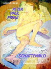 Buchcover Schattenbild