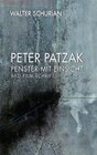 Buchcover Peter Patzak - Fenster mit Einsicht