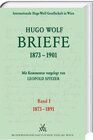 Buchcover Hugo Wolf Briefe 1873-1901 / Band 1: 1873-1891