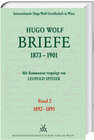 Buchcover Hugo Wolf Briefe 1873-1901 / Band 2: 1892-1895