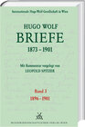 Buchcover Hugo Wolf Briefe 1873-1901 / Band 3: 1896-1901