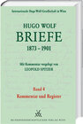 Buchcover Hugo Wolf Briefe 1873-1901 / Band 4: Kommentar und Register