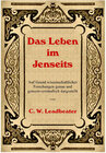 Buchcover Das Leben im Jenseits.