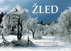 Buchcover ŽLED