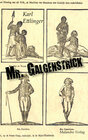 Buchcover Mr. Galgenstrick