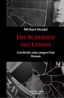 Buchcover DIE SCHERBEN DES LEBENS