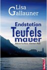 Buchcover Endstation Teufelsmauer: Meierhofers vierter Fall / Meierhofer ermittelt Bd.4