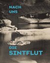 Buchcover Nach uns die Sintflut