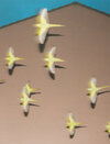 Buchcover Aliens