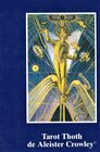 Buchcover Il Tarocco Tarot Thoth di Aleister Crowley IT