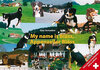 Buchcover My name ist Bläss, Appenzeller Bläss