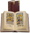 Buchcover Der Queen-Mary-Psalter