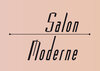 Buchcover Salon Moderne