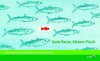 Buchcover Gute Reise, kleiner Fisch