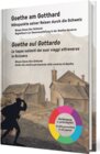 Buchcover Goethe am Gotthard