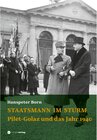 Buchcover Staatsmann im Sturm