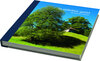 Buchcover So näbebey gsäid