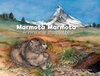 Buchcover Marmota, Marmota