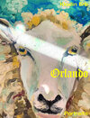 Buchcover Orlando