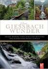 Buchcover Das Giessbach-Wunder
