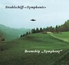Buchcover Strahlschiff-"Symphonie"