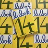 Buchcover Lubok 14