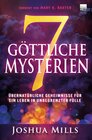 Buchcover 7 göttliche Mysterien
