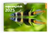 Buchcover aquaristik Kalender 2025