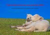 Buchcover Der Nordstrand-Kalender 2026 DIN A 4