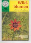 Buchcover Wildblumen erkennen und bestimmen