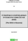 Buchcover Evropsko Gospodarsko Interesno Zdruzenje (EGIZ) -  The EEIG in Slovenia