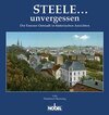 Buchcover Steele... unvergessen
