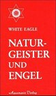 Buchcover Naturgeister und Engel