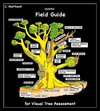 Buchcover Updated Field Guide for Visual Tree Assessment