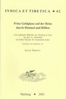 Buchcover Prinz Goldglanz auf der Reise durch Himmel und Höllen