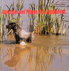 Buchcover Abrichten und Führen des Jagdhundes