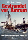 Buchcover Gestrandet vor Amrum